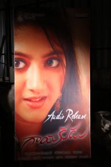 Gayakudu Movie Audio Release